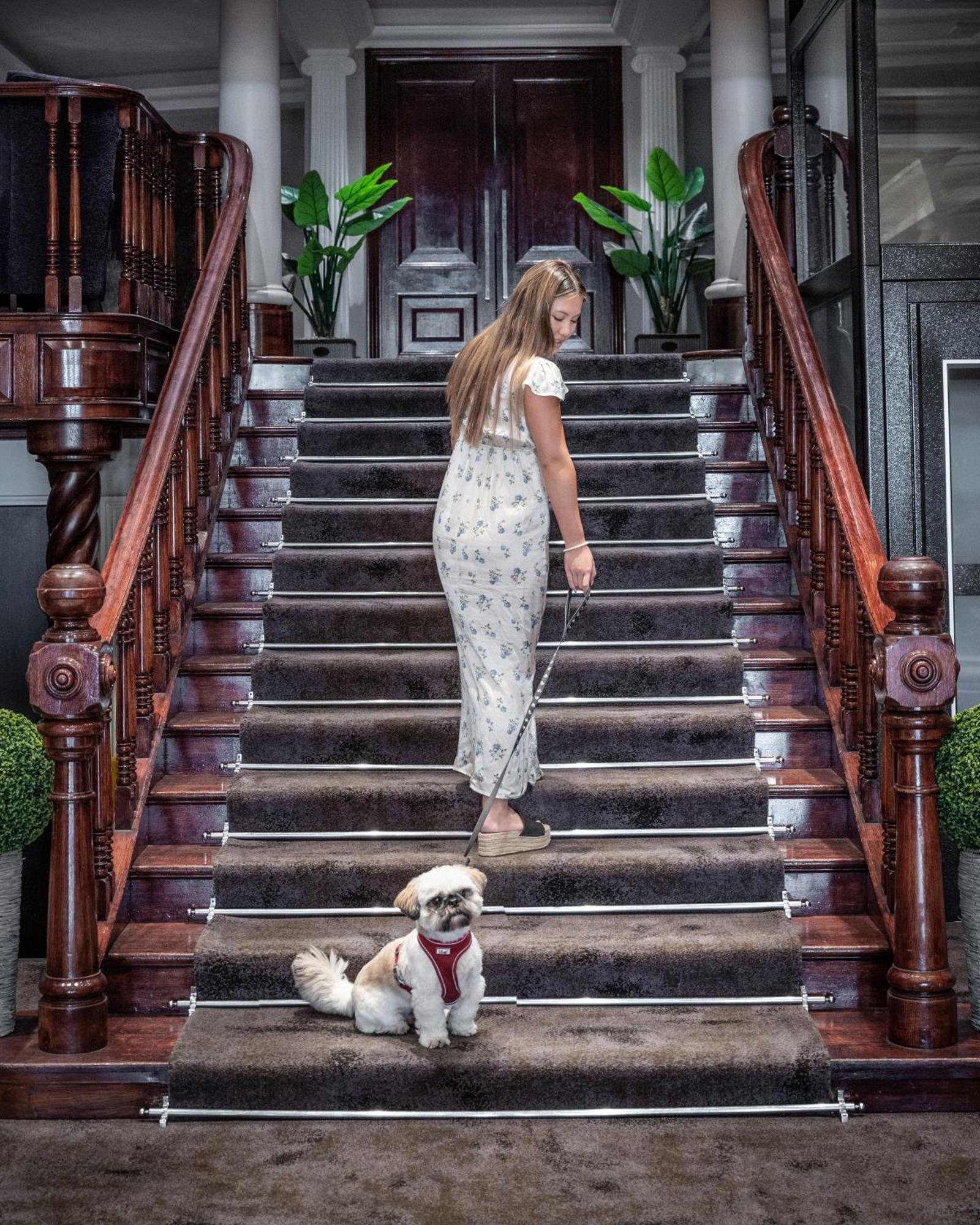 Grand Jersey Hotel And Spa Saint Helier Jersey Exterior foto A woman walking her dog